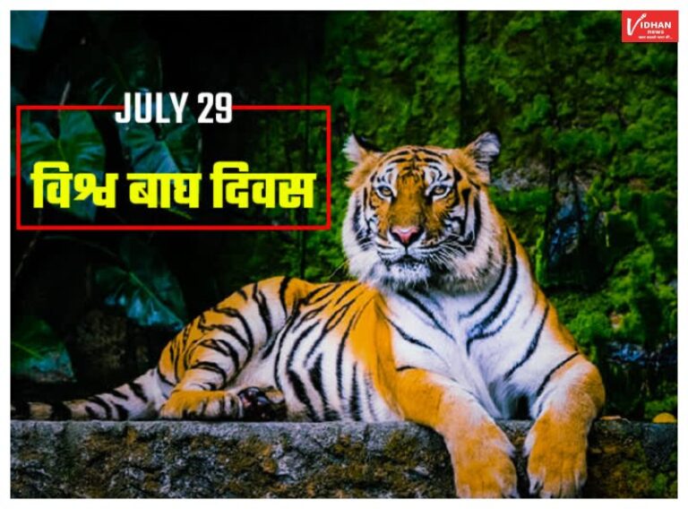 International Tiger Day 2023: ‘अंतर्राष्ट्रीय बाघ दिवस’ का जानें इतिहास-महत्व और इस साल की थीम
