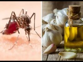 Mosquito Prevention Tips