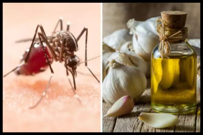 Mosquito Prevention Tips