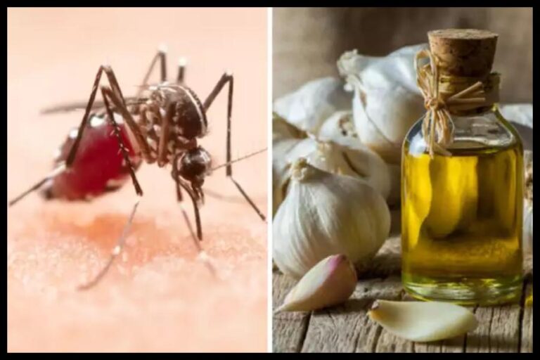 Mosquito Prevention Tips