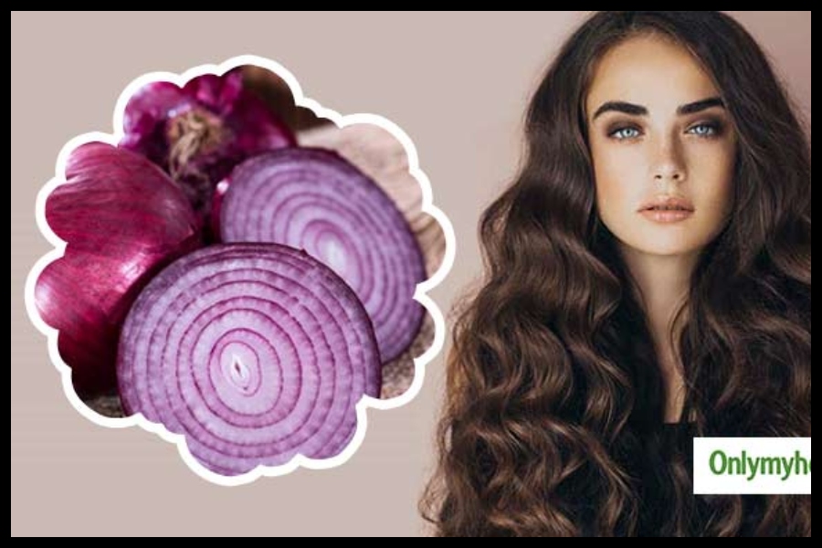 Onion For Hair Growth Onion For Hair Growth