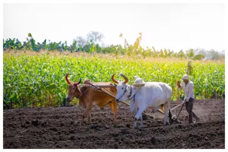 PM Kisan Yojana: इस दिन आएगी प्रधानमंत्री किसान सम्‍मान निधि योजना की 14वीं किस्‍त कब, जानिए अपडेट