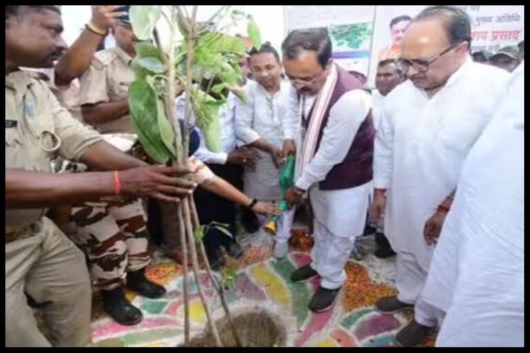 Prayagraj News : जनपद प्रयागराज में वृहद वृक्षारोपण कार्यक्रम के अवसर पर लगभग 64 लाख पौधों का किया गया रोपण