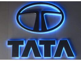 Tata Group Stock Share in five years