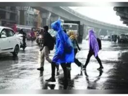 Telangana Government announced holiday due to heavy rain