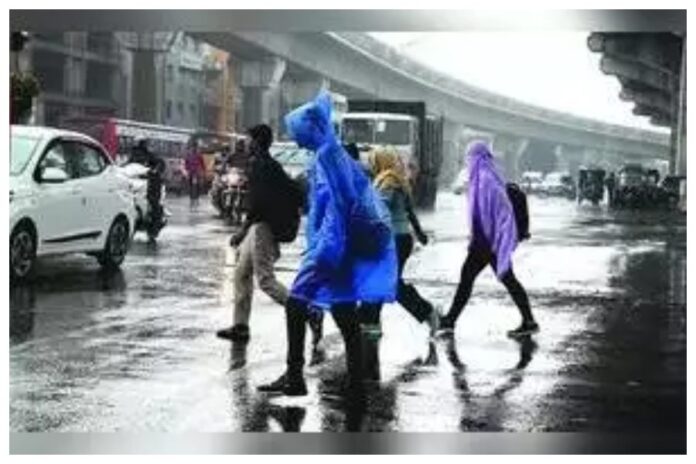 Telangana Government announced holiday due to heavy rain