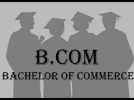 Top B.Com Colleges In Noida