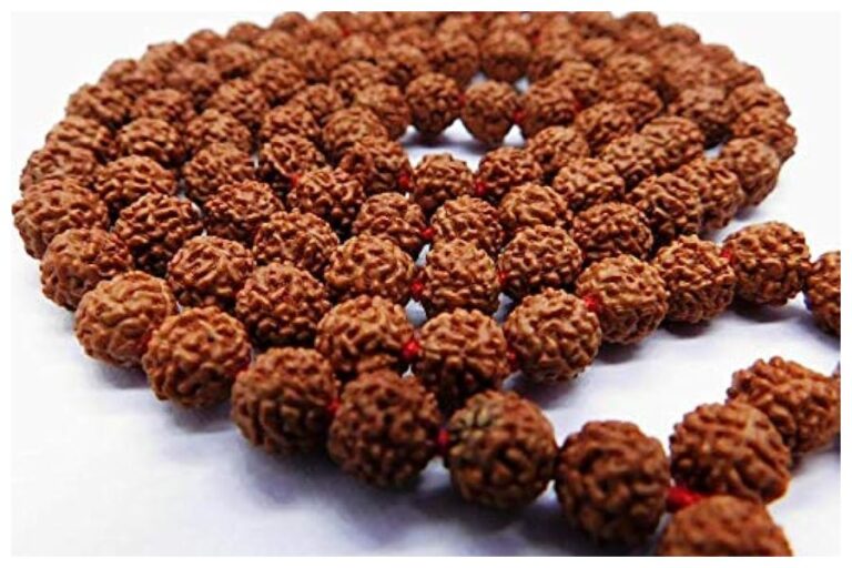 Rudraksha Benefits: कैसे हुई रुद्राक्ष की उत्पत्ति, जाने अलग-अलग रुद्राक्ष को धारण करने के फायदे