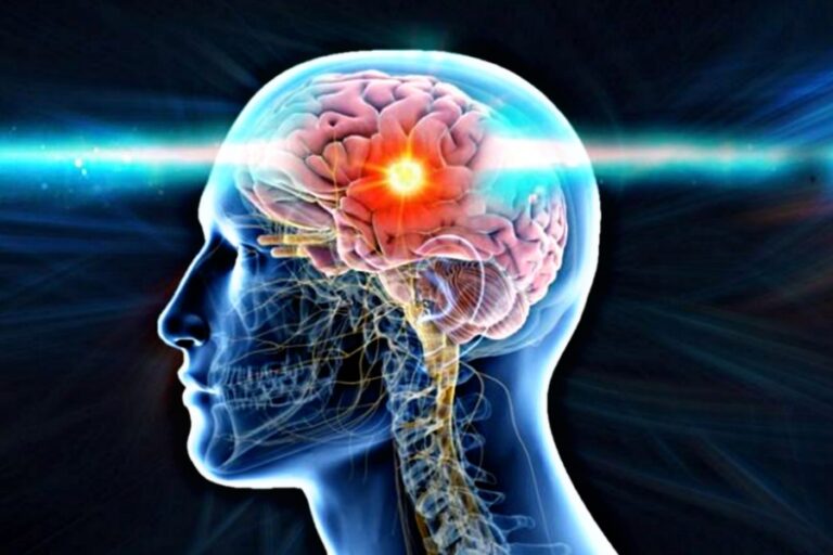 मशीन की तरह चलेगा दिमाग, डाइट में करें यह सभी चीजें शामिल