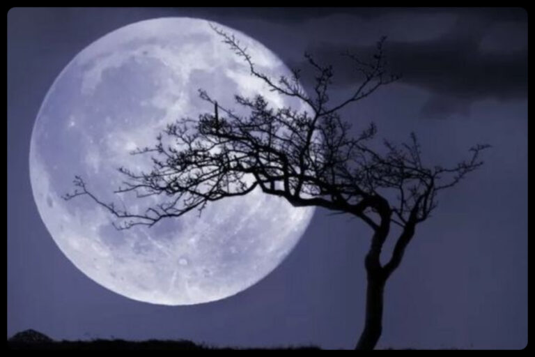 Adhik Maas Amavasya 2023