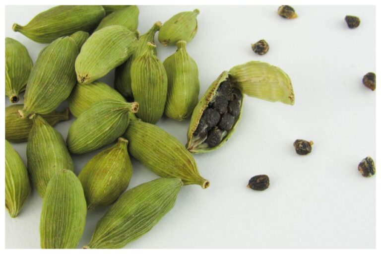 Benefits of Cardamom: ब्लड प्रेशर, पाचन और मेंटल हेल्थ को रखें दुरूस्त, जानें इलायची के सेवन के फायदे