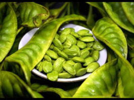 Cluster Beans Benefits