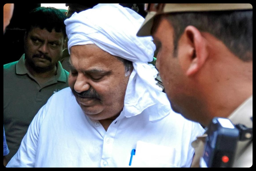 Mafia Atiq Mafia Atiq