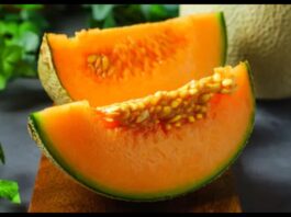 Muskmelon Seeds