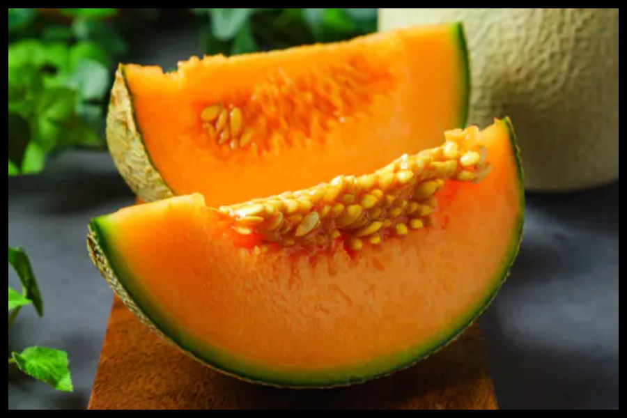 Muskmelon Seeds