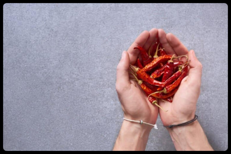 Sukhi Lal Mirch Totka