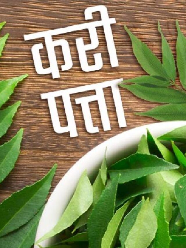 How To Store Curry Leaves