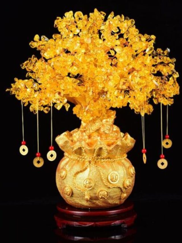 fendshui 11
