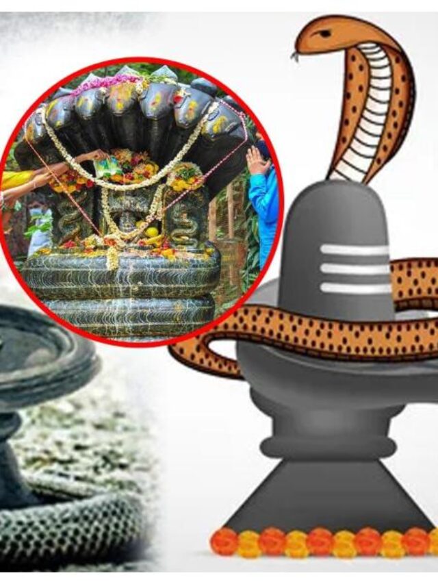naag panchami 3