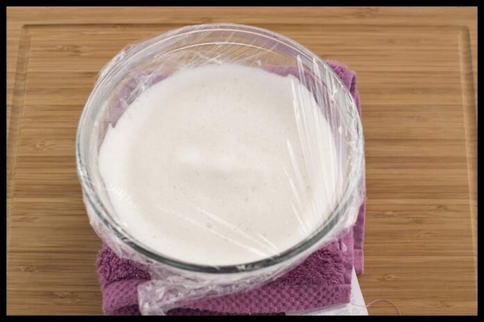 fresh milk cream Fresh Milk Cream