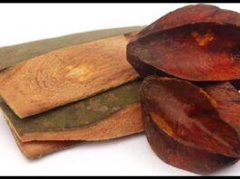 Arjuna Bark Benefits