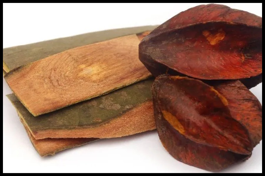 Arjuna Bark Benefits