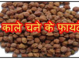 Black Chana Benefits