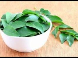 Curry Leaves Benefits