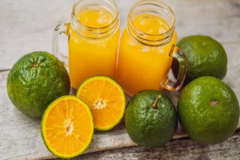 मौसंबी का जूस पीकर इन सभी बीमारियों को कहे टाटा बाय बाय….