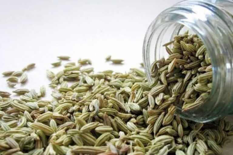 रोजाना रात को सौंफ पाउडर खानें से होंगे यह सभी फायदे, जल्दी जानें