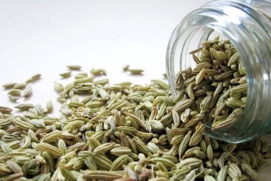 Saunf Powder Benefits