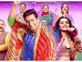 The great indian family