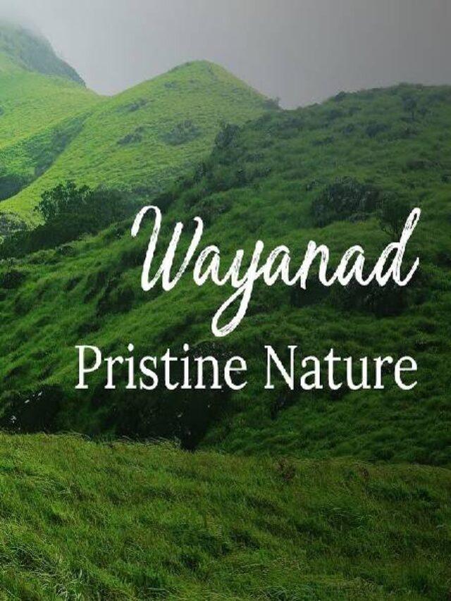 Best Places to Visit in Wayanad, Kerala