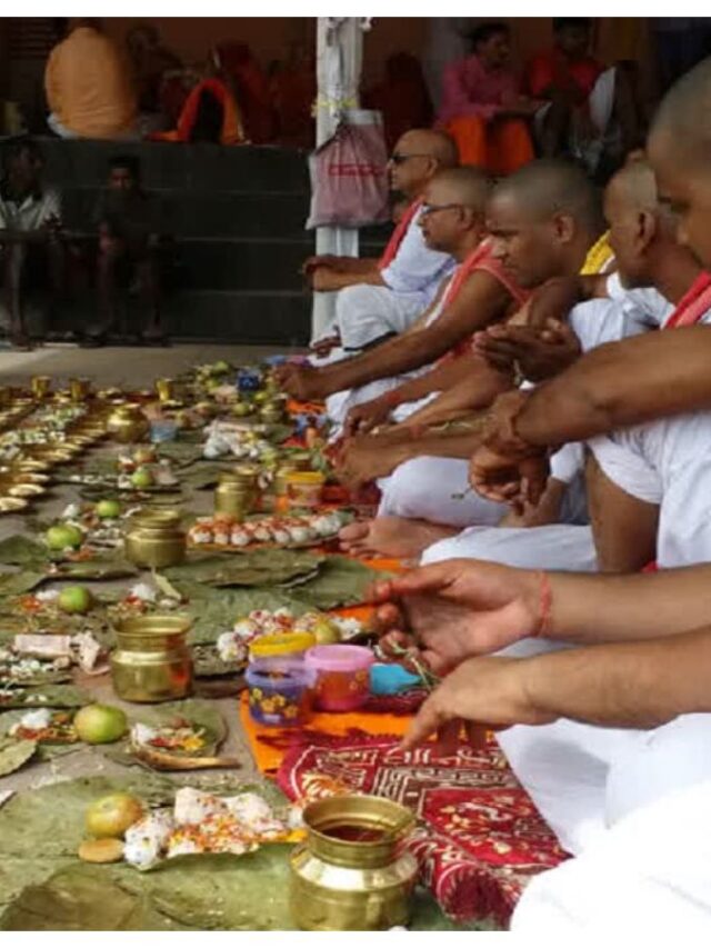 pitru2013