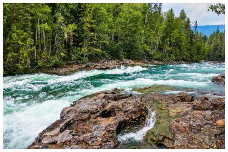 World River Day 2023: नदी दिवस पर जानें नदियों का भारत में क्या है महत्व-आस्था और इस साल की थीम