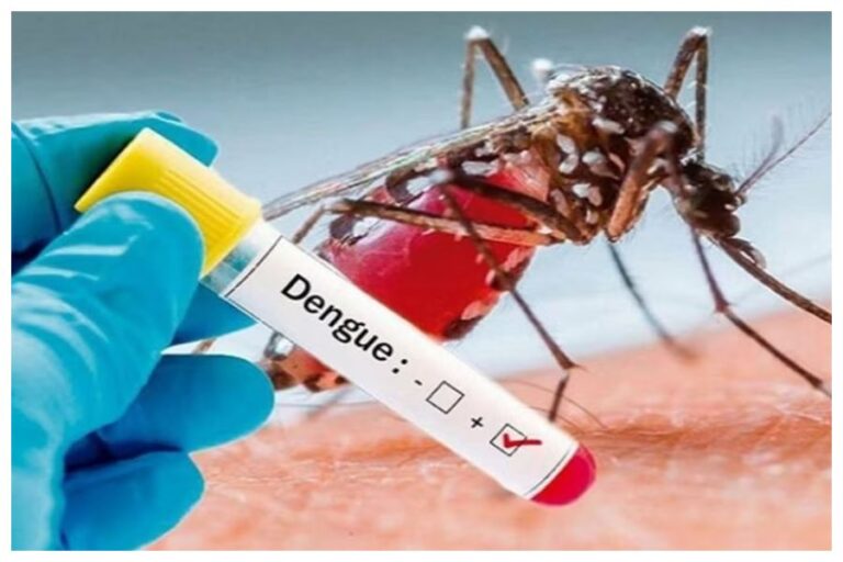 Dengue Cases In Delhi: दिल्ली में टूटा डेंगू का रिकॉर्ड, जानिए डेंगू के लक्षण और बचाव के आसान उपाय