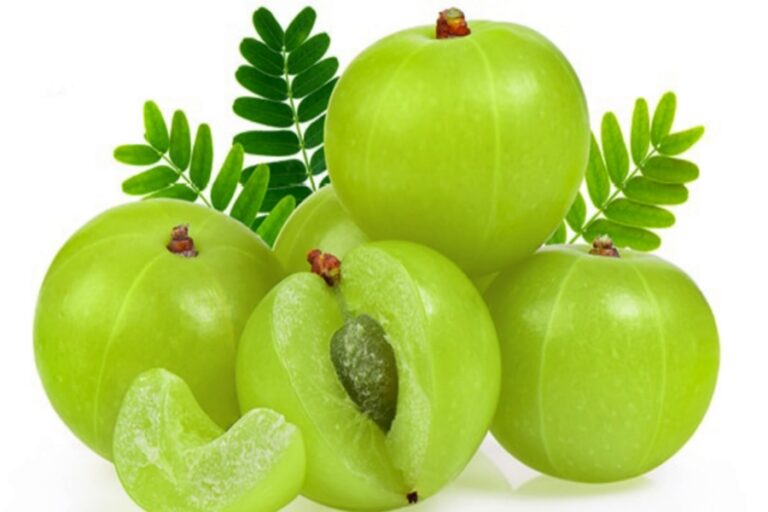 आंवला खाने के गजब के फायदे जानें, दूर होंगी यह सभी बीमारी