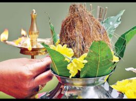 Aam Ke Patte