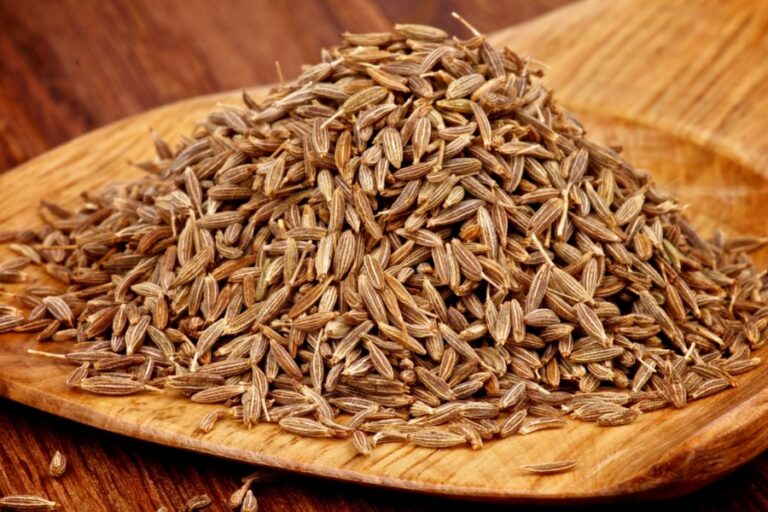 Benefits Of Cumin : रोजाना जीरा खाने के बेमिसाल और लाजवाब फायदे डिटेल से जानें