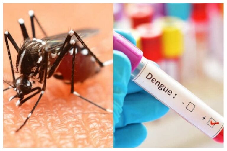 Dengue Fever: डेंगू से हुए बुखार में दिखने लगते हैं शरीर में ये लक्षण, जानें कारण और उपचार