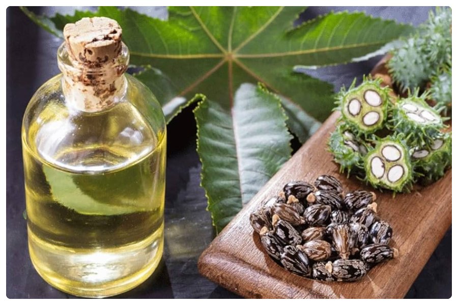 Health Benefits Of Castor Oil