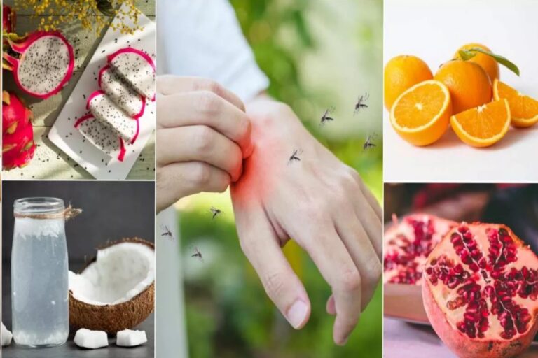 बरस रहा डेंगू का कहर, प्लेटलेट्स बढ़ाने के लिए शामिल करें डाइट में यह सभी चीजें