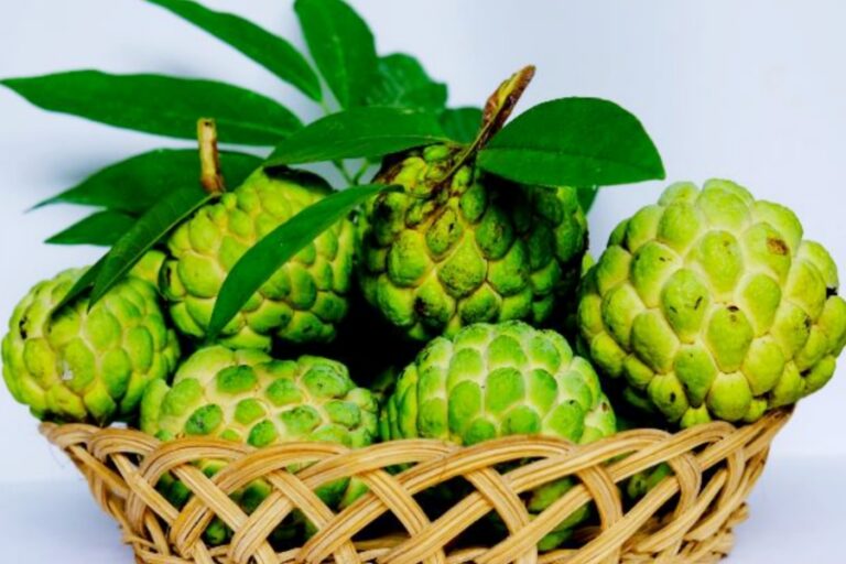 इन सभी समस्याओं के चलते कभी भी नहीं खाएं शरीफा, नहीं तो होगा बड़ा नुकसान