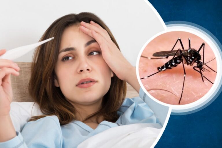 Health News: डेंगू में इन चीजों का सेवन कर झटपट बढ़ाएं प्लेटलेट्स