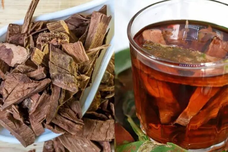 जानें अर्जुन की छाल से कौनसी बड़ी बड़ी बीमारियां होंगी दूर….