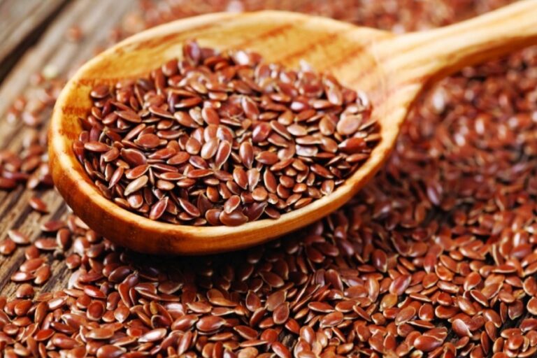 इन सभी बीमारियों के चलते अगर खाएंगे अलसी तो हो जाएगा आपकी जान को खतरा….