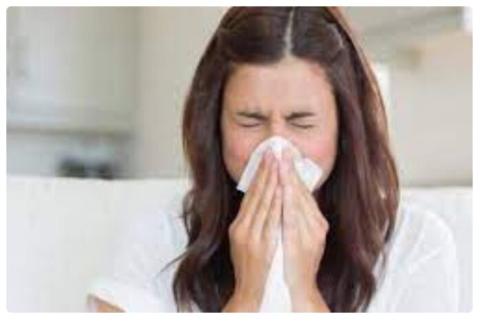 How To Get Rid Of Sneezing