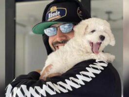 Kartik Aaryan's Pet Dog