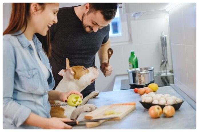 National Cook For Your Pets Day National Cook For Your Pets Day