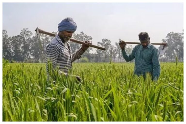 PM Kisan Yojana: इस दिन आ सकती है किसानों के लिए खुशखबरी! जारी हो सकती है 15वीं किस्त, जानें ताजा अपडेट